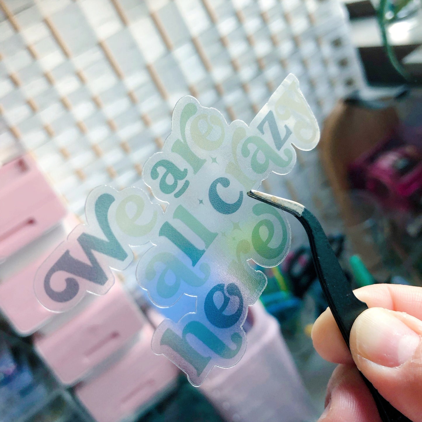 We Are All Crazy Here Transparent Vinyl Sticker