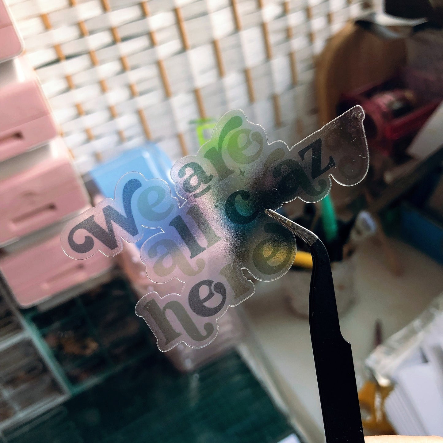 We Are All Crazy Here Transparent Vinyl Sticker