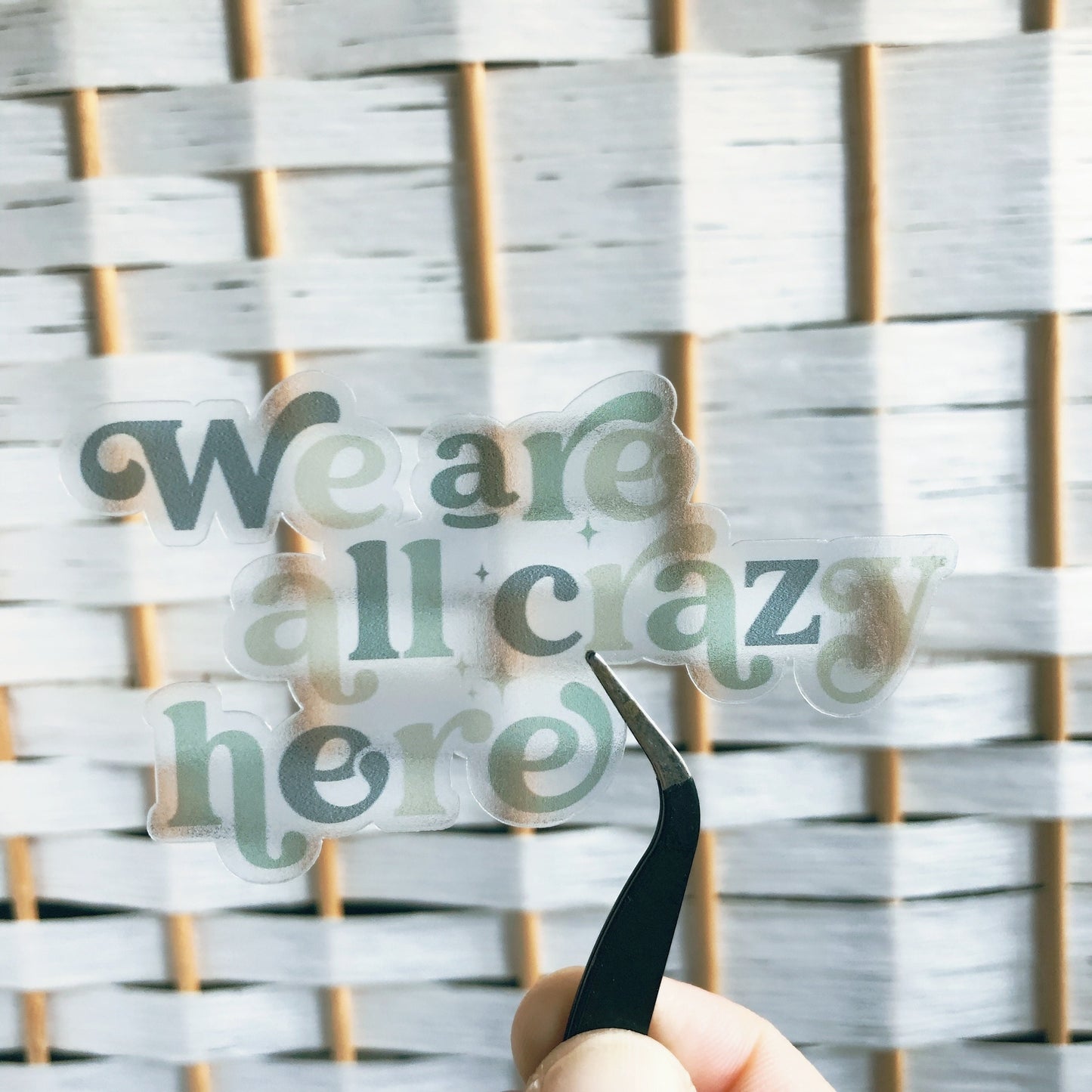 We Are All Crazy Here Transparent Vinyl Sticker